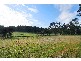 Kenthurst NSW 2156
