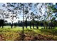 Kenthurst NSW 2156