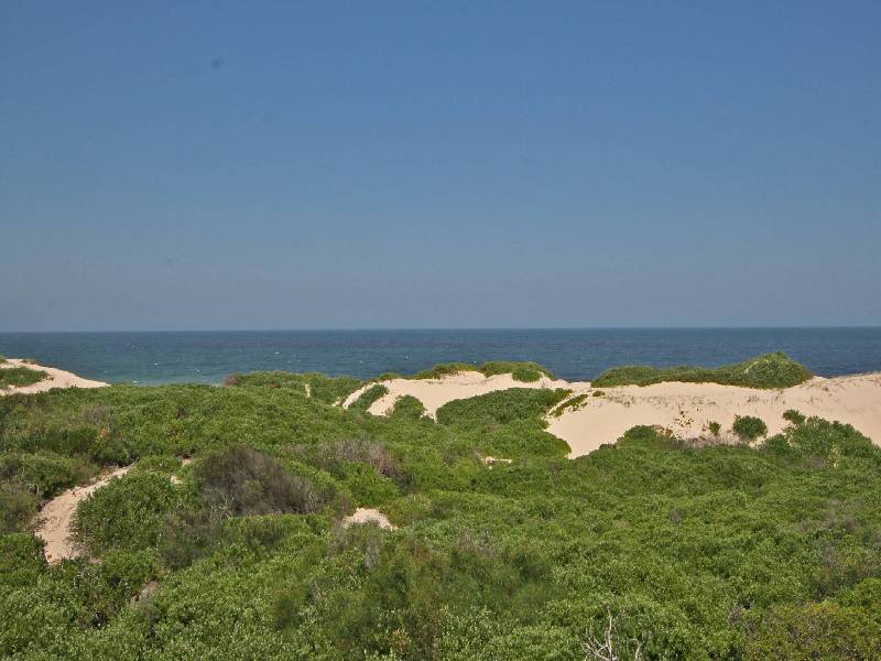 61 Bondi Road, The Entrance North NSW 2261