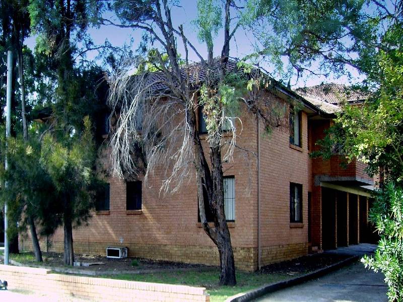 16 Wilga Street, Fairfield NSW 2165