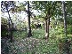 Mount Pritchard NSW 2170