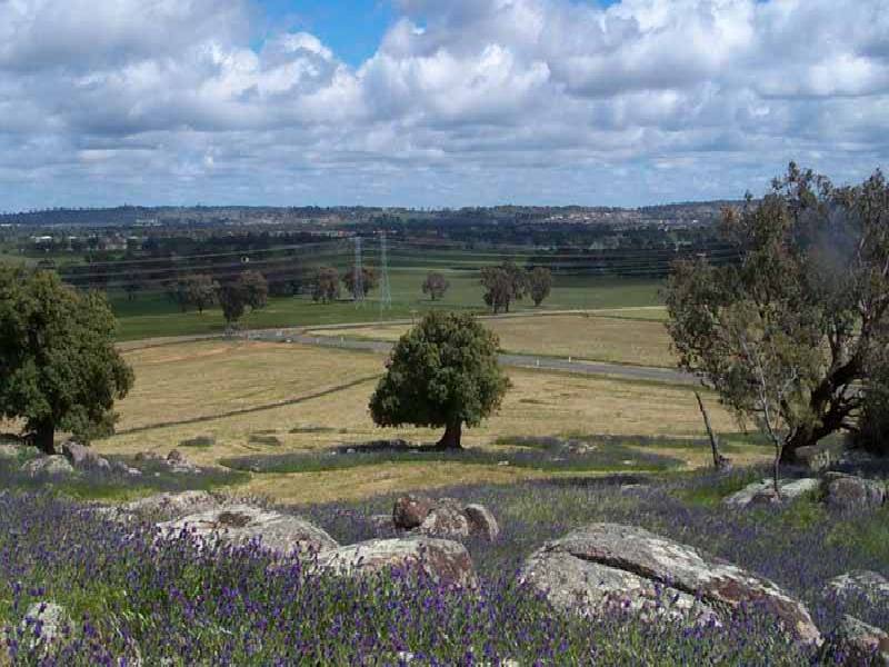 Wagga Wagga NSW 2650