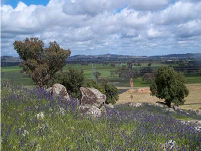 Wagga Wagga NSW 2650