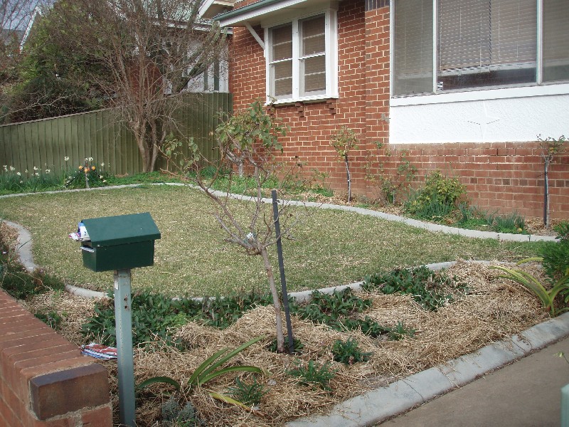 Turvey Park NSW 2650