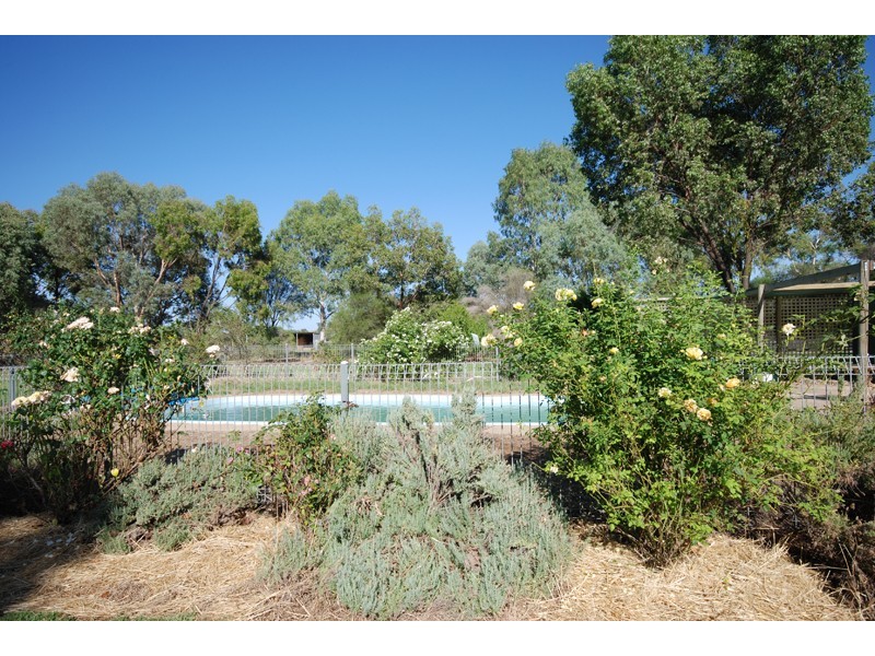 Wagga Wagga NSW 2650