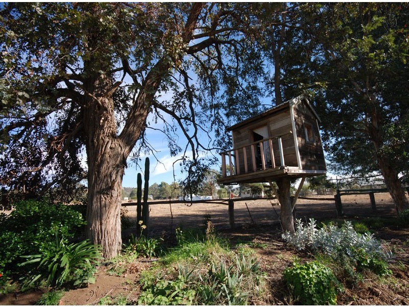 San Isidore NSW 2650