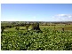 Wagga Wagga NSW 2650
