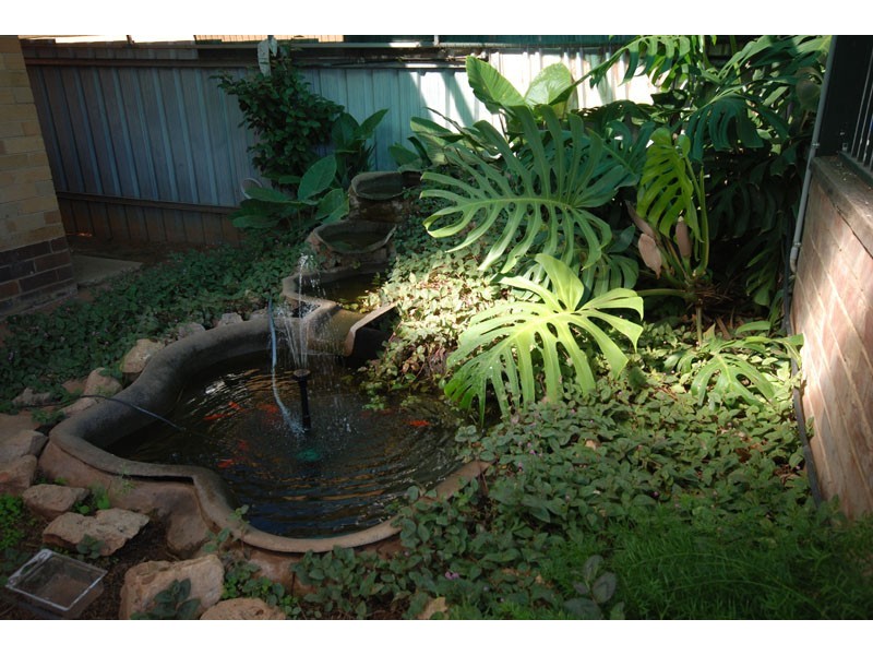 Tolland NSW 2650