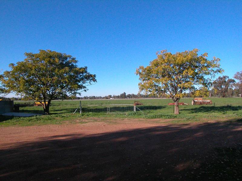 Wagga Wagga NSW 2650