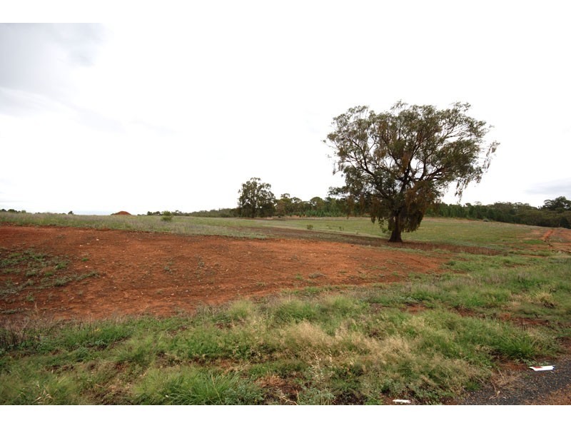 Wagga Wagga NSW 2650