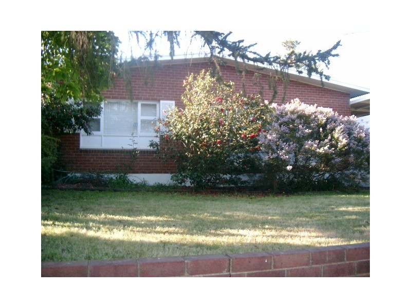 Kooringal NSW 2650