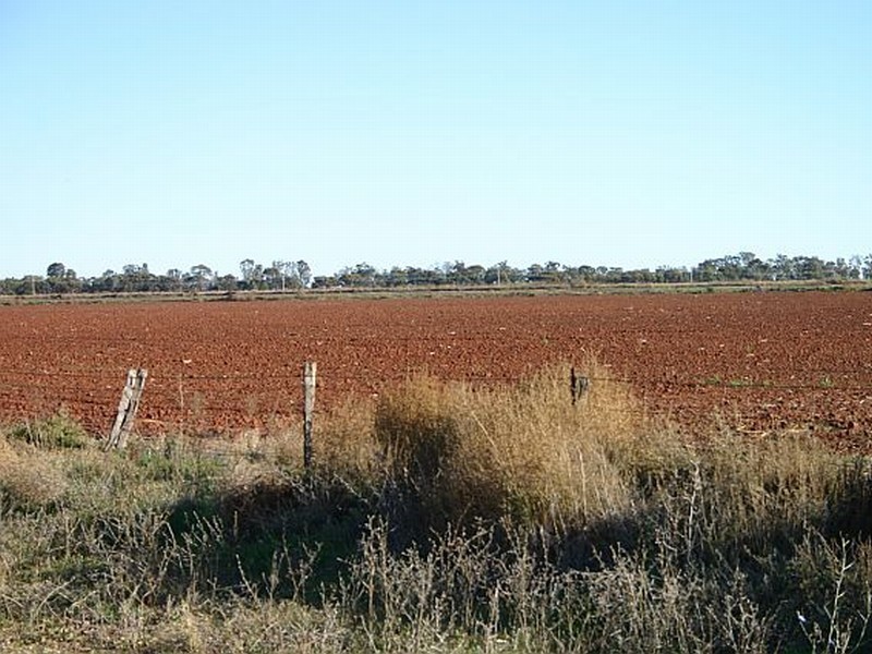 Griffith NSW 2680