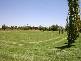 Griffith NSW 2680