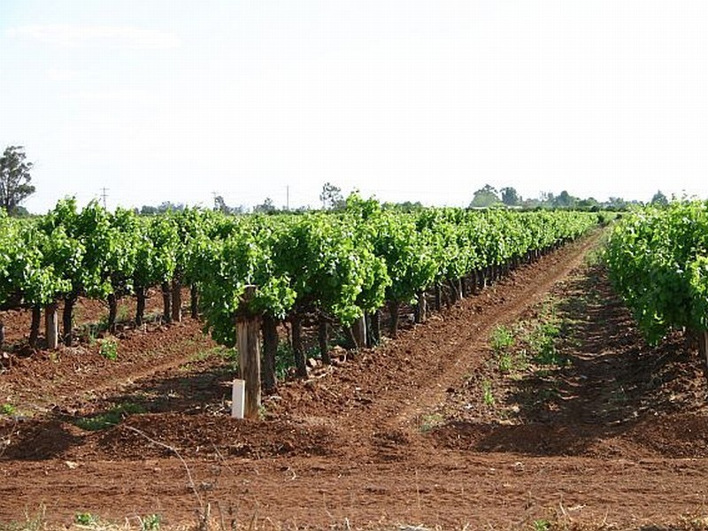 Griffith NSW 2680