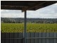 Griffith NSW 2680