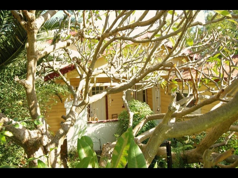 5 Bentley Street, Balgowlah NSW 2093