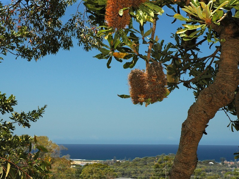 8 Kalang Road, Elanora Heights NSW 2101