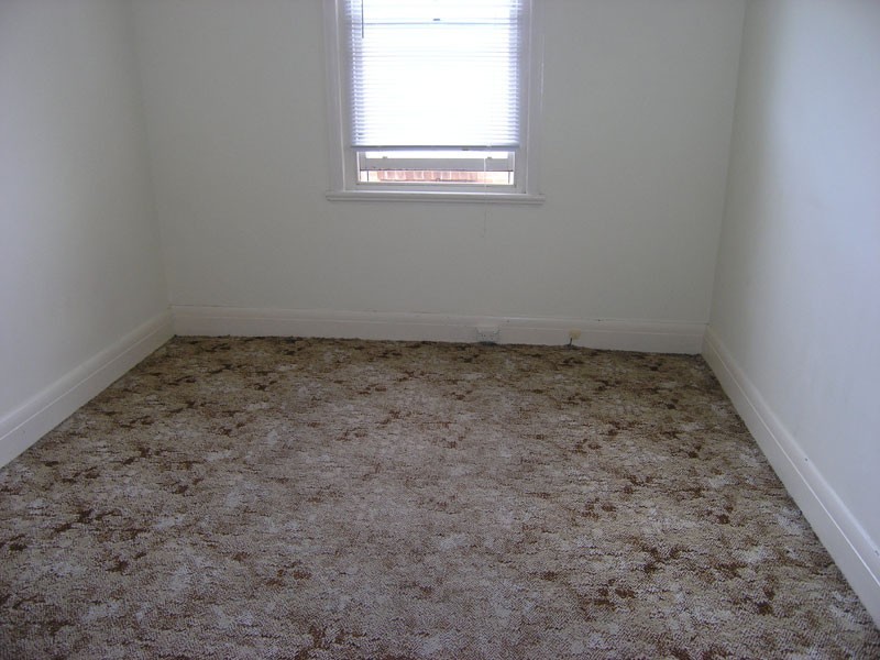 8 Francis Street, Fairlight NSW 2094