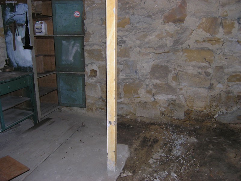 8 Francis Street, Fairlight NSW 2094