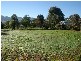 Brungle NSW 2722
