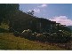 523 Goobragandra Road, Tumut NSW 2720