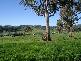 Tumut NSW 2720