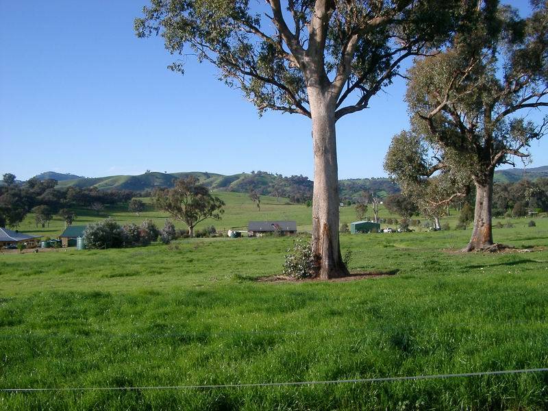 Tumut NSW 2720
