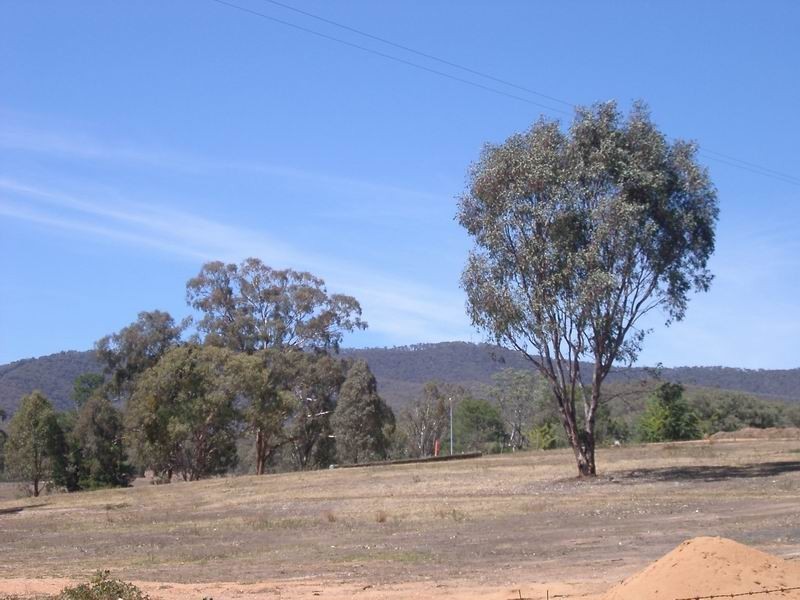 Tumut NSW 2720