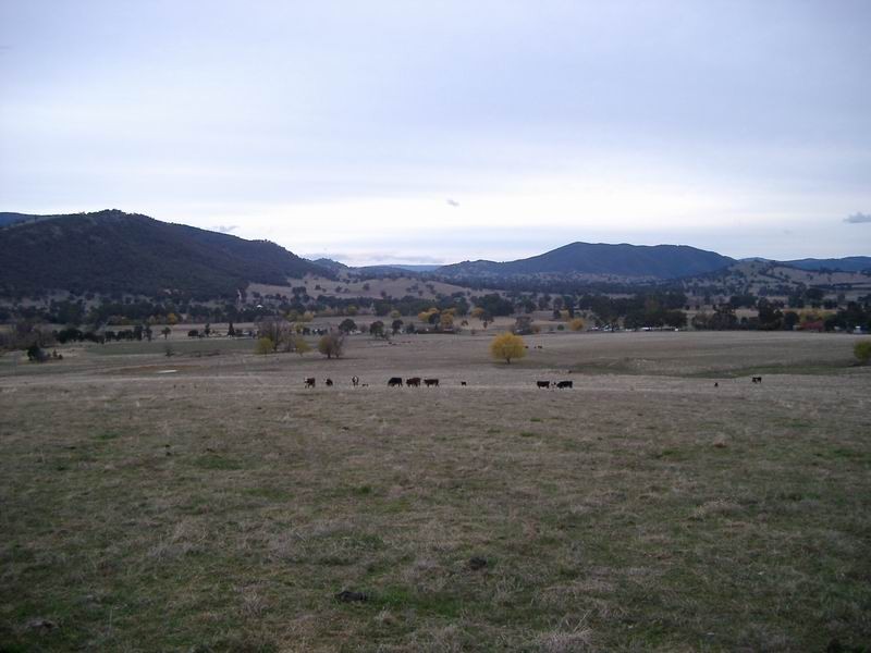 Lot 202 Argalong Road, Tumut NSW 2720