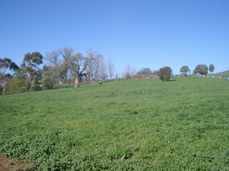 Lot 396 Gundagai Road, Adelong NSW 2729