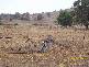 Lot 120 Gundagai Road, Adelong NSW 2729