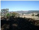 Batlow NSW 2730