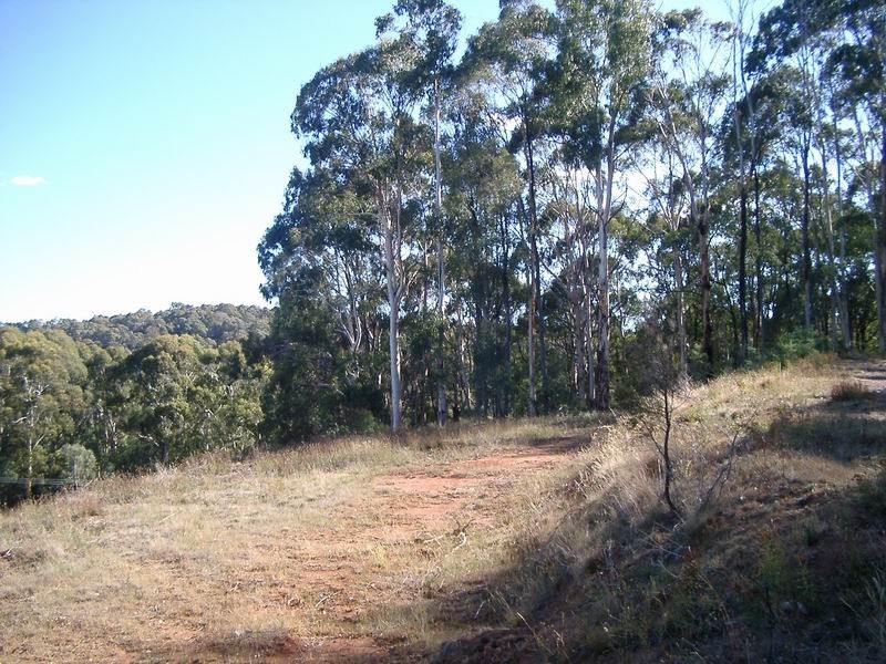 Batlow NSW 2730