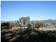 Batlow NSW 2730