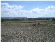 Lot 12 Tumut River Orchard Estate, Tumut NSW 2720