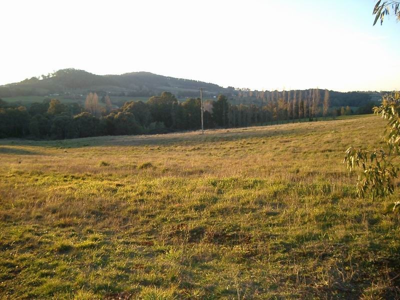 Lot 10 Yellowin Road, Batlow NSW 2730
