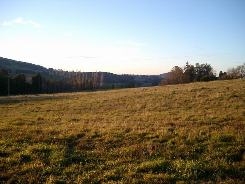 Lot 10 Yellowin Road, Batlow NSW 2730