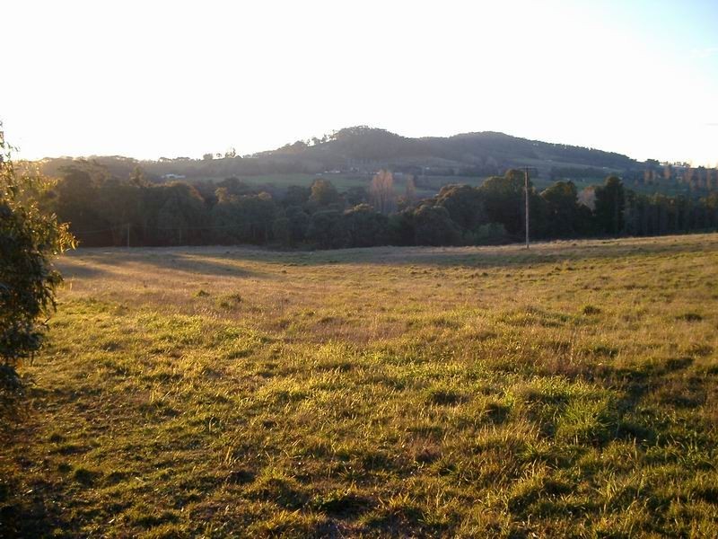 Lot 10 Yellowin Road, Batlow NSW 2730