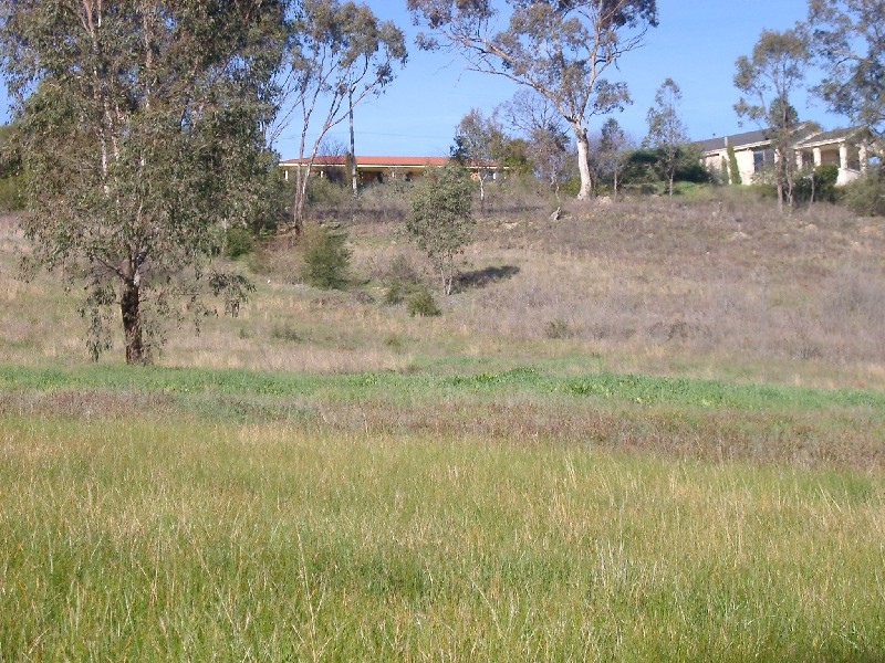Tumut NSW 2720