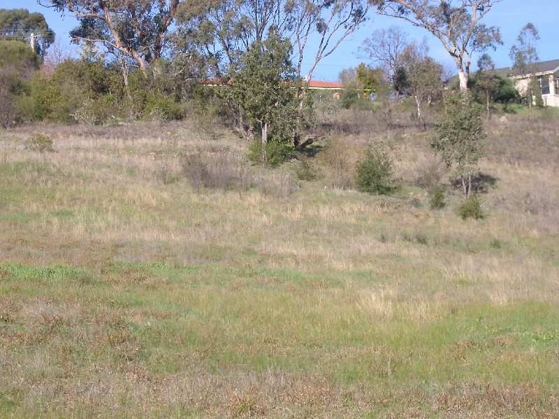 Tumut NSW 2720