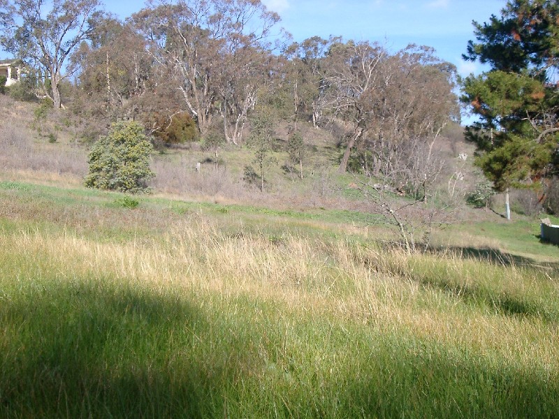 Tumut NSW 2720