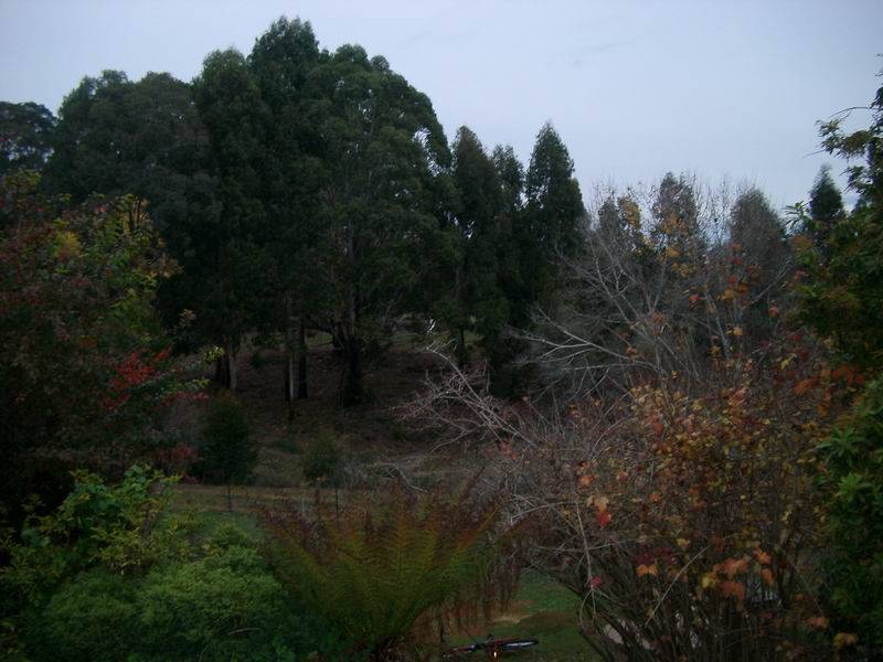 2245 Batlow Road, Laurel Hill NSW 2649