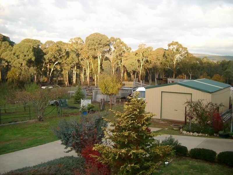 43 Forest Road, Batlow NSW 2730