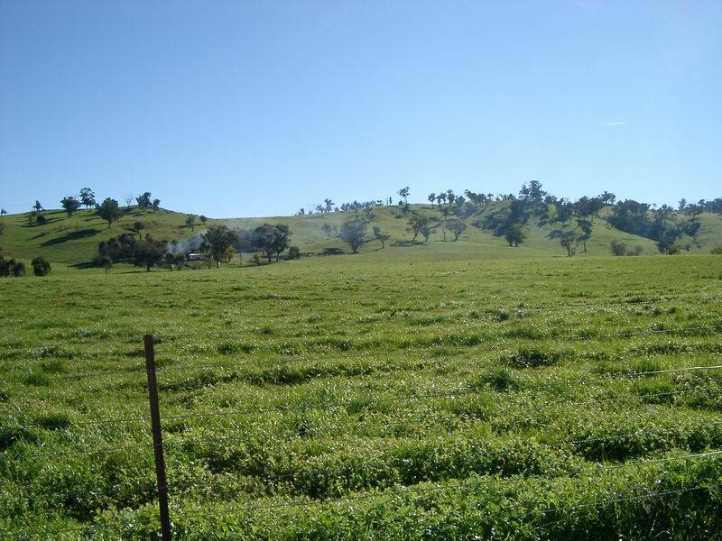 Lots 203 & 2 Argalong Road, Tumut NSW 2720