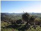 525 Goobragandra Road, Tumut NSW 2720