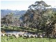 525 Goobragandra Road, Tumut NSW 2720