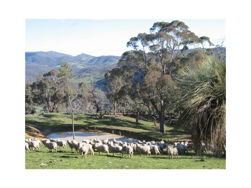 525 Goobragandra Road, Tumut NSW 2720