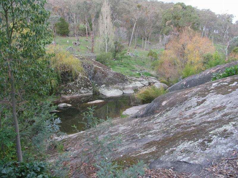 1273 Adelong Road, Wondalga NSW 2729