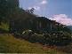 525 Goobragandra Road, Tumut NSW 2720