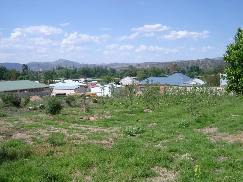 91A Russell Street, Tumut NSW 2720